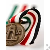 Az Olasz-Német Afrikai Hadjárat Érem - Medaille für den italienisch-deutschen Feldzug in Afrika - "Lorioli Frattelli"