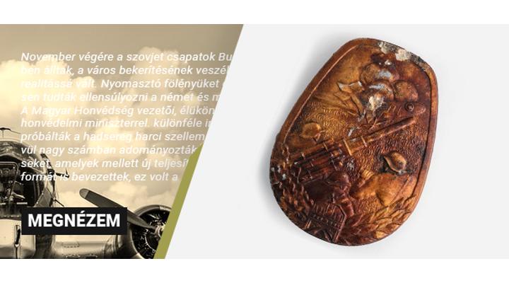 Repülőgép Lelövési Jelvény